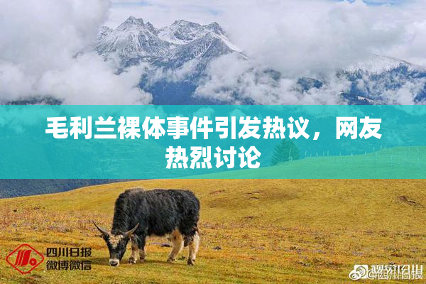 毛利兰裸体事件引发热议，网友热烈讨论