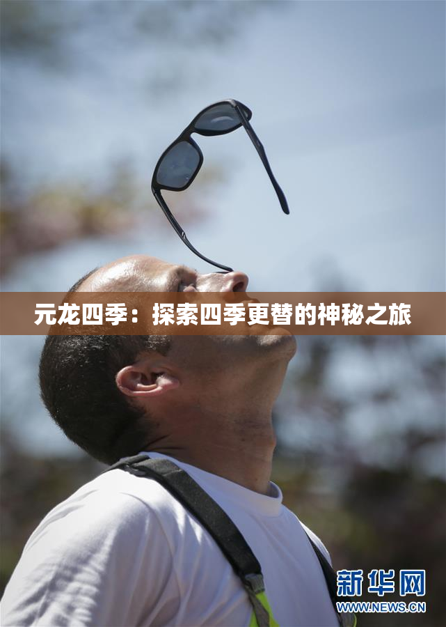 元龙四季：探索四季更替的神秘之旅