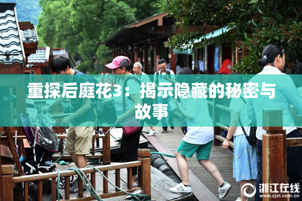 重探后庭花3：揭示隐藏的秘密与故事