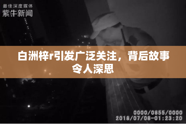 白洲梓r引发广泛关注，背后故事令人深思
