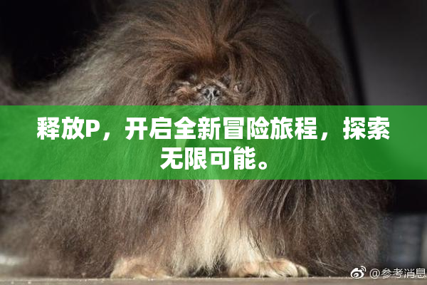 释放P，开启全新冒险旅程，探索无限可能。