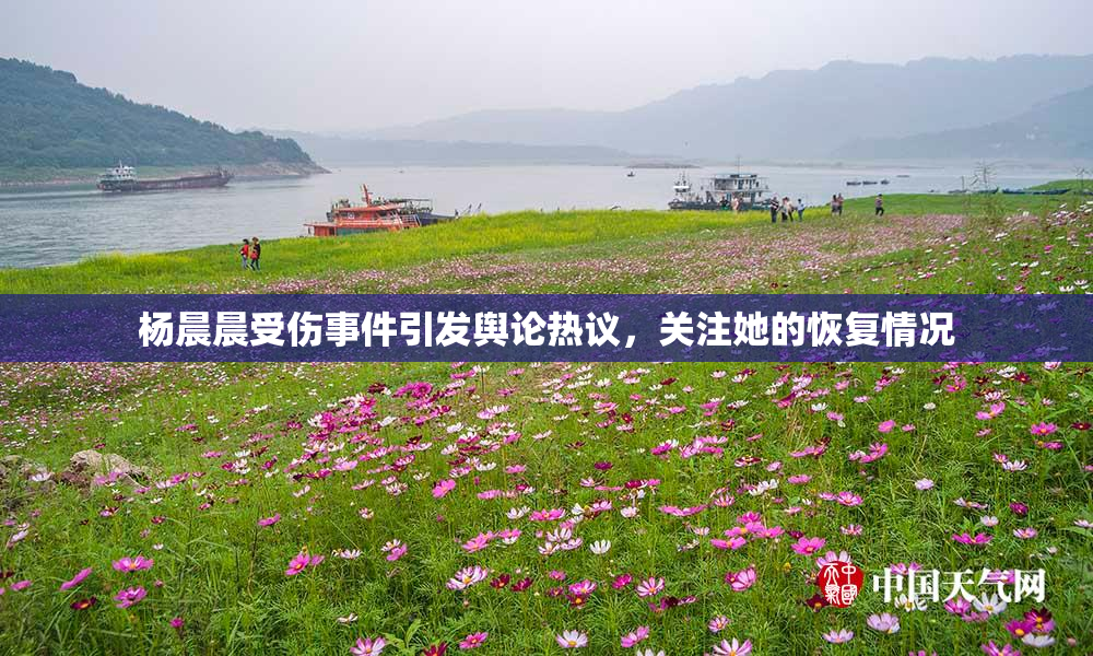 杨晨晨受伤事件引发舆论热议，关注她的恢复情况