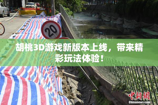 胡桃3D游戏新版本上线，带来精彩玩法体验！