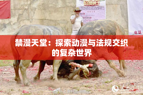 禁漫天堂：探索动漫与法规交织的复杂世界