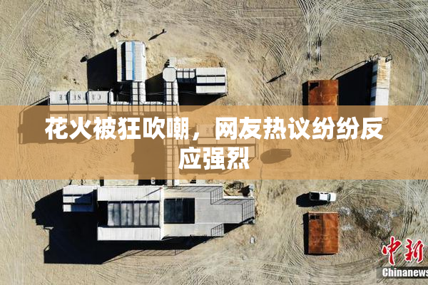 花火被狂吹嘲，网友热议纷纷反应强烈