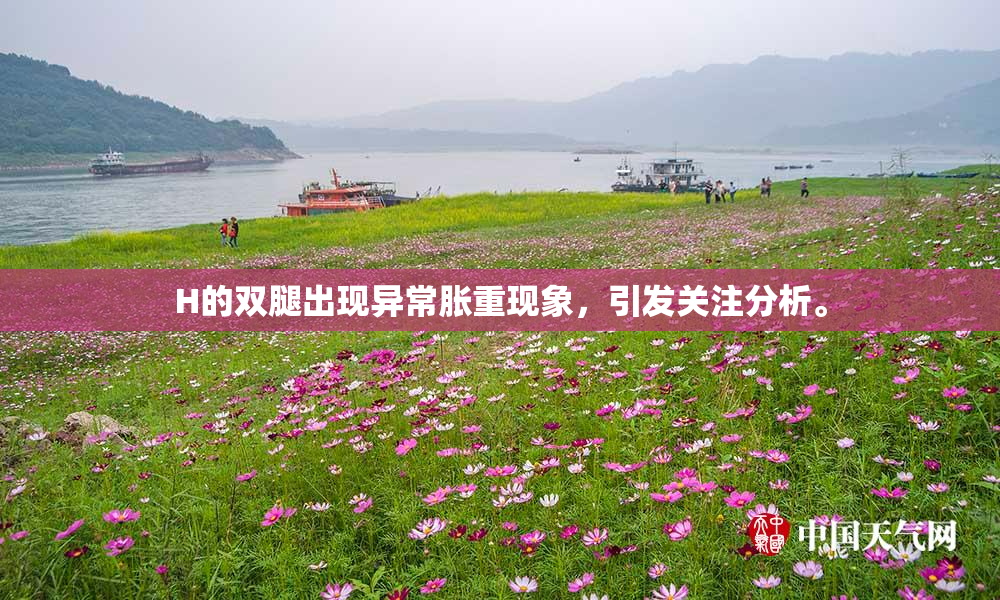 H的双腿出现异常胀重现象，引发关注分析。