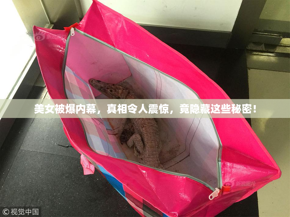 美女被爆内幕，真相令人震惊，竟隐藏这些秘密！
