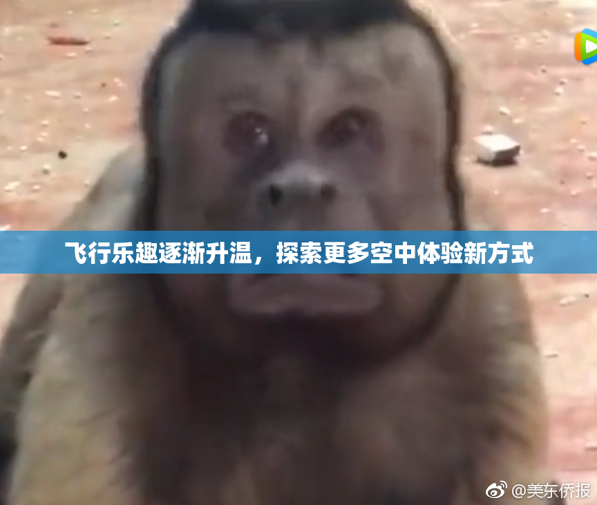 飞行乐趣逐渐升温，探索更多空中体验新方式