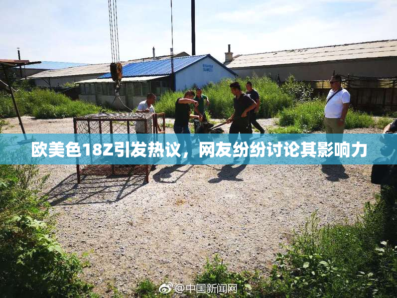 欧美色18Z引发热议，网友纷纷讨论其影响力