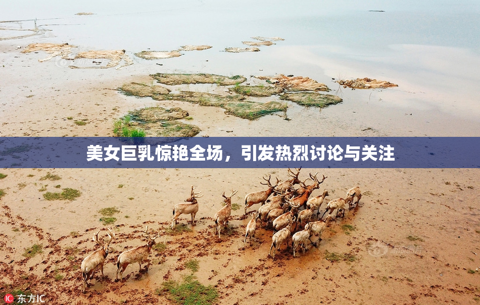 美女巨乳惊艳全场，引发热烈讨论与关注