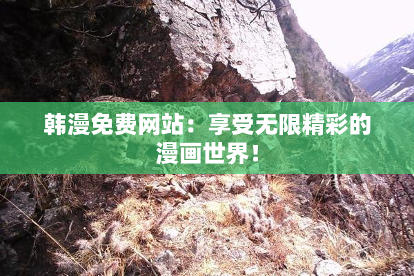 韩漫免费网站：享受无限精彩的漫画世界！