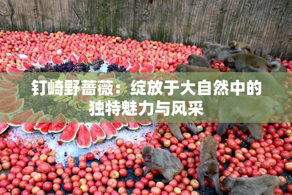 钉崎野蔷薇：绽放于大自然中的独特魅力与风采