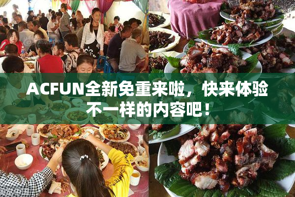 ACFUN全新免重来啦，快来体验不一样的内容吧！