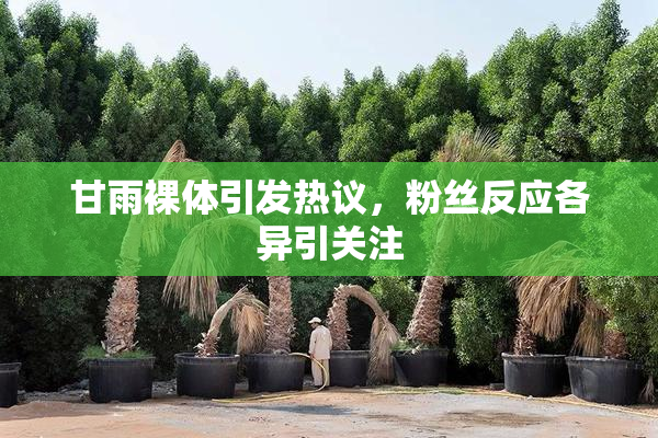 甘雨裸体引发热议，粉丝反应各异引关注