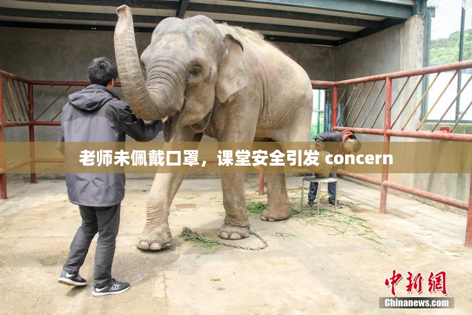 老师未佩戴口罩，课堂安全引发 concern