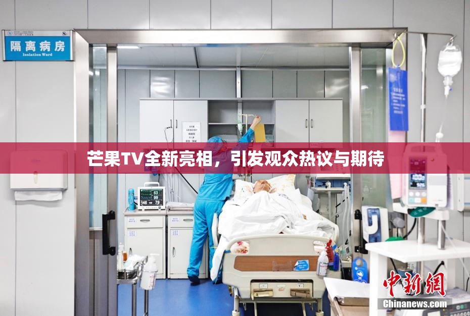 芒果TV全新亮相，引发观众热议与期待