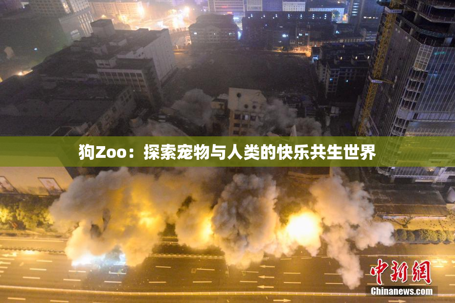 狗Zoo：探索宠物与人类的快乐共生世界