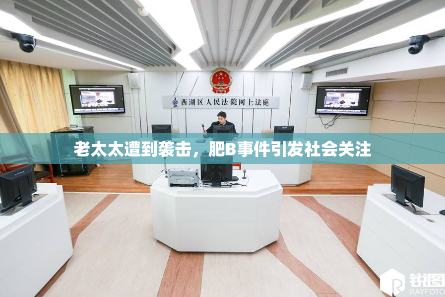 老太太遭到袭击，肥B事件引发社会关注