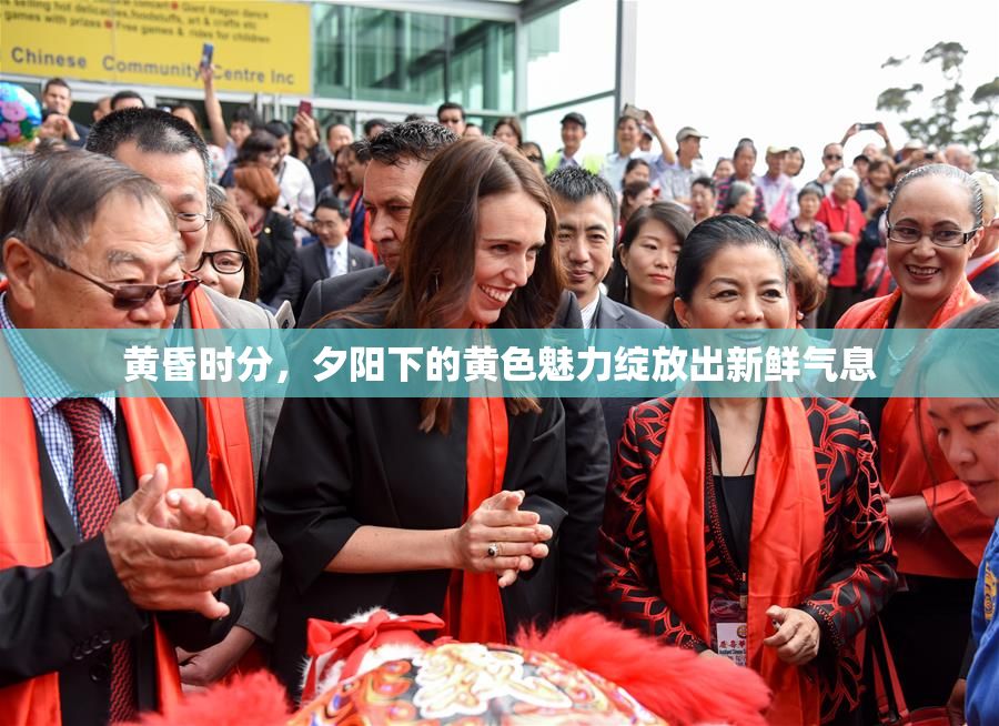 黄昏时分，夕阳下的黄色魅力绽放出新鲜气息