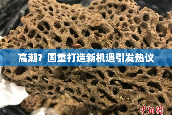 高潮？国重打造新机遇引发热议