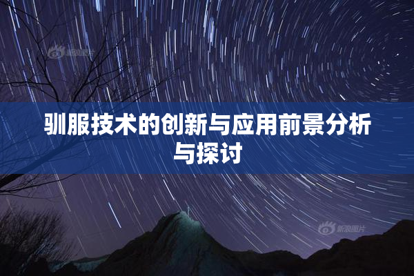 驯服技术的创新与应用前景分析与探讨