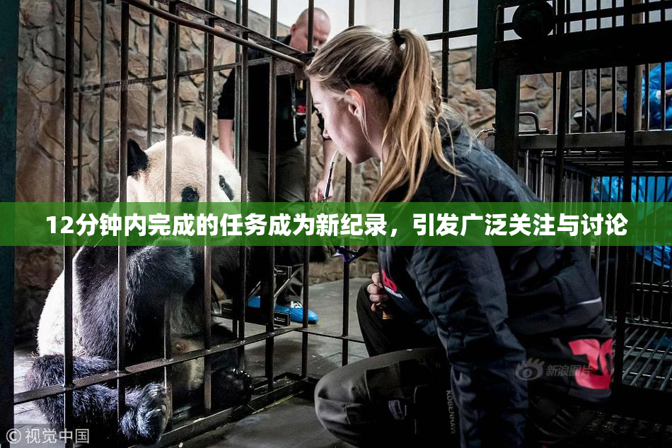 12分钟内完成的任务成为新纪录，引发广泛关注与讨论