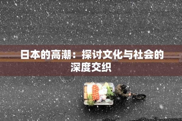 日本的高潮：探讨文化与社会的深度交织