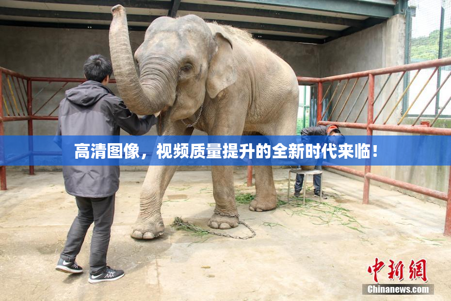 高清图像，视频质量提升的全新时代来临！