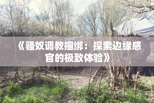 《骚奴调教捆绑：探索边缘感官的极致体验》