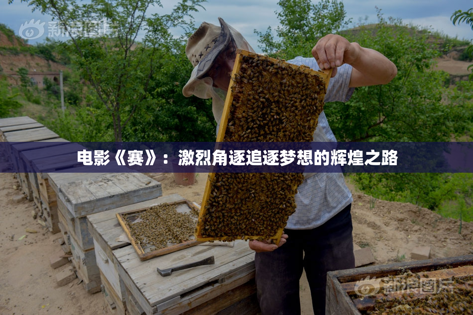 电影《赛》：激烈角逐追逐梦想的辉煌之路