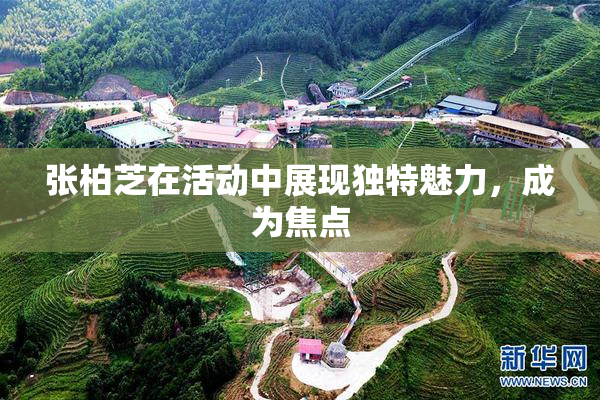 张柏芝在活动中展现独特魅力，成为焦点