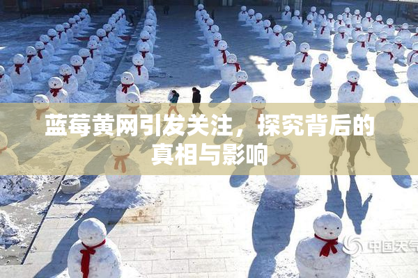 蓝莓黄网引发关注，探究背后的真相与影响