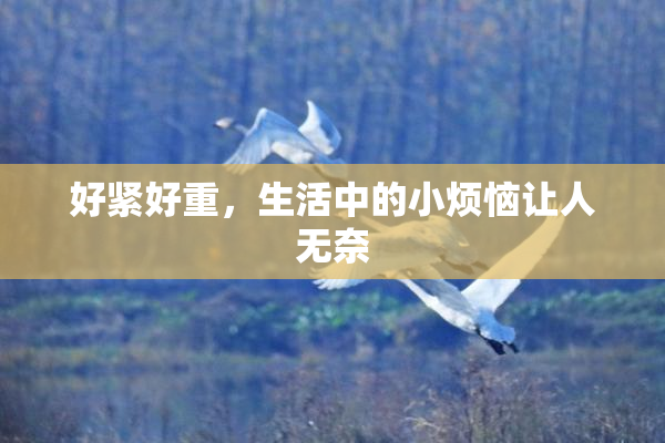 好紧好重，生活中的小烦恼让人无奈