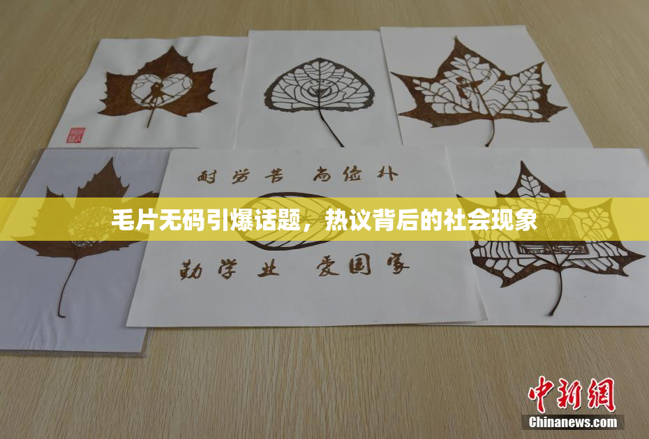 毛片无码引爆话题，热议背后的社会现象