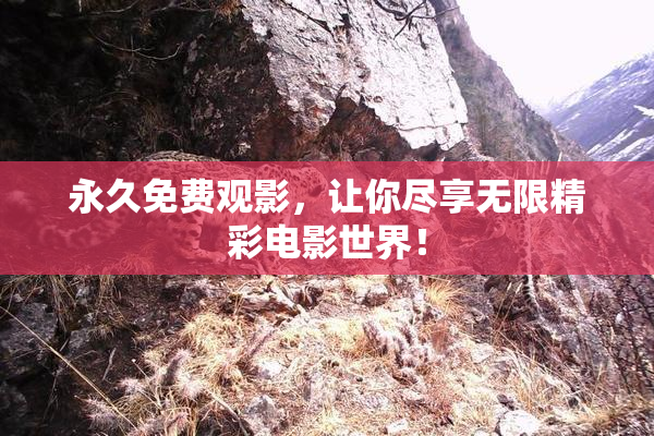 永久免费观影，让你尽享无限精彩电影世界！