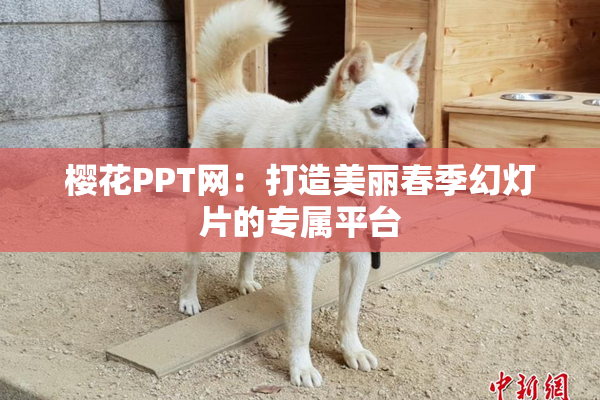 樱花PPT网：打造美丽春季幻灯片的专属平台