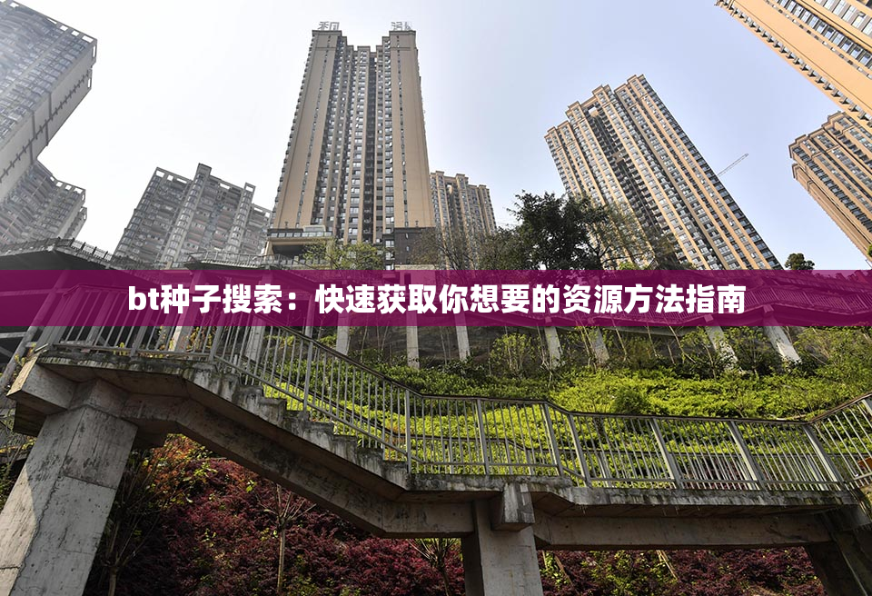 bt种子搜索：快速获取你想要的资源方法指南
