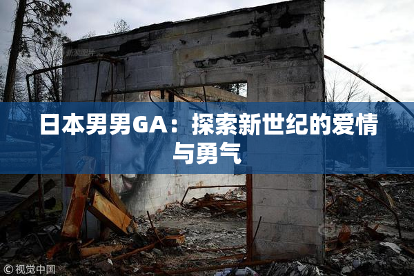 日本男男GA：探索新世纪的爱情与勇气