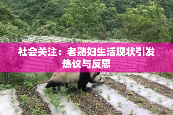 社会关注：老熟妇生活现状引发热议与反思