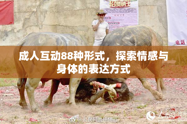 成人互动88种形式，探索情感与身体的表达方式