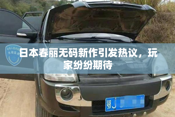 日本春丽无码新作引发热议，玩家纷纷期待