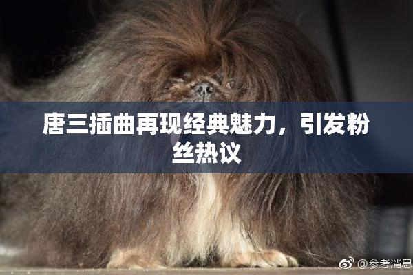 唐三插曲再现经典魅力，引发粉丝热议