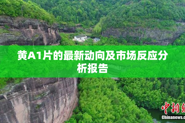 黄A1片的最新动向及市场反应分析报告