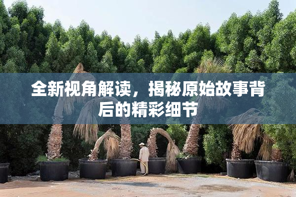 全新视角解读，揭秘原始故事背后的精彩细节