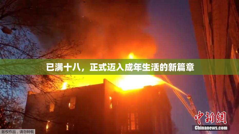 已满十八，正式迈入成年生活的新篇章