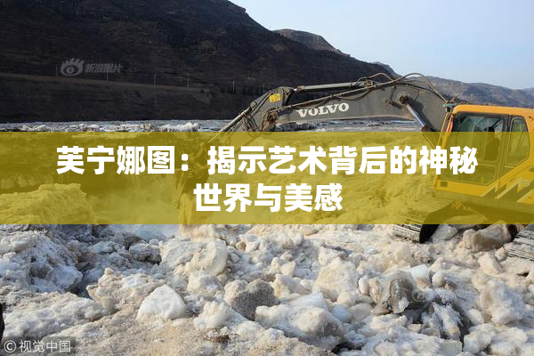 芙宁娜图：揭示艺术背后的神秘世界与美感