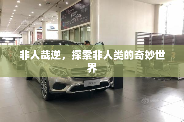 非人哉逆，探索非人类的奇妙世界