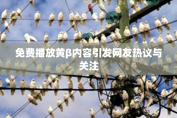免费播放黄β内容引发网友热议与关注