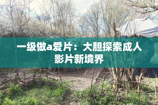 一级做a爱片：大胆探索成人影片新境界