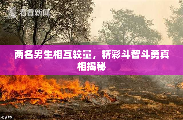 两名男生相互较量，精彩斗智斗勇真相揭秘